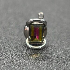 Elegant Silver Tone and Multicolor Lapel Pin